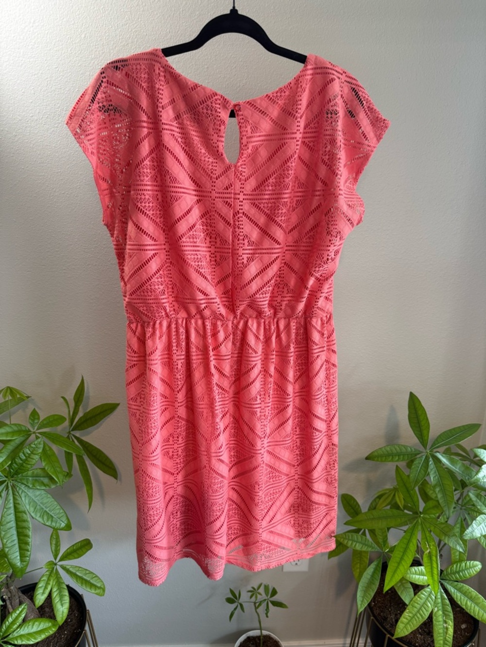 Coral Lace Dress 💕✨ - Picture 2 of 3